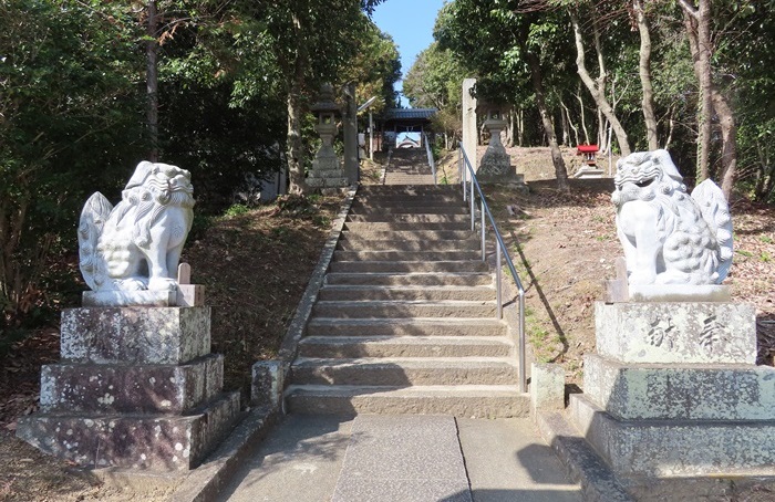 04.jpg