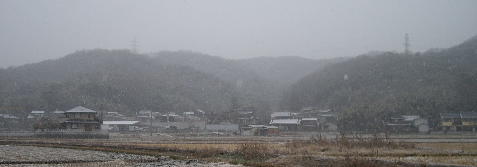 01.jpg