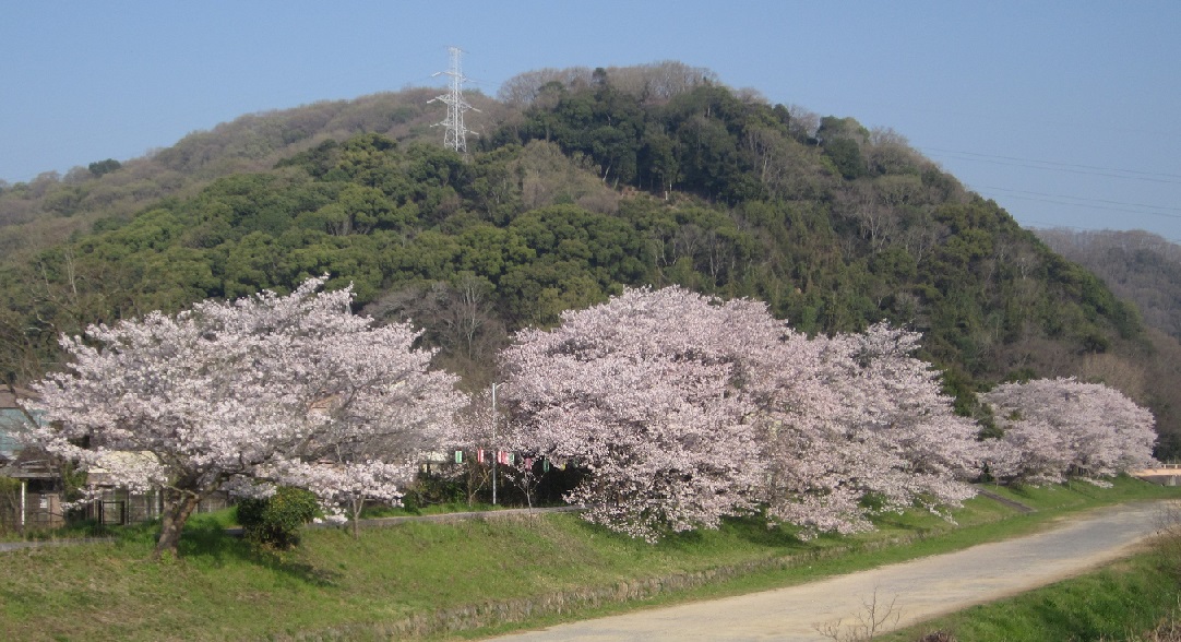 05.jpg