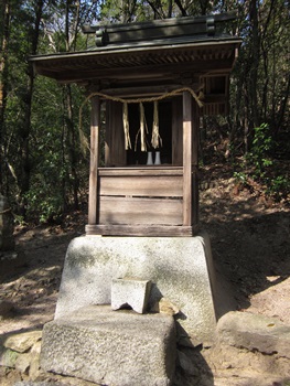 04.jpg
