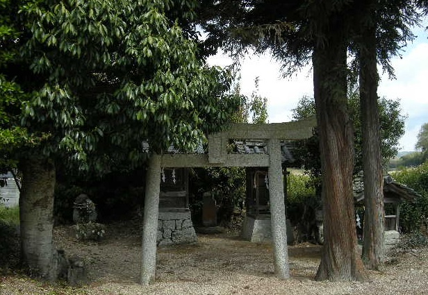 01.jpg