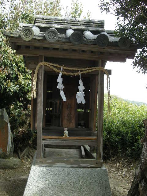 05.jpg