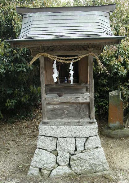 06.jpg