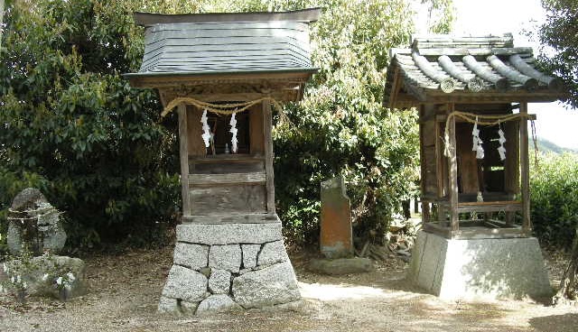 07.jpg