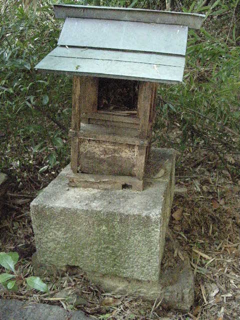 09.jpg