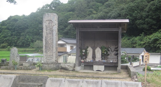 01.jpg