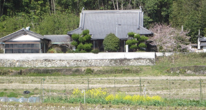 01.jpg