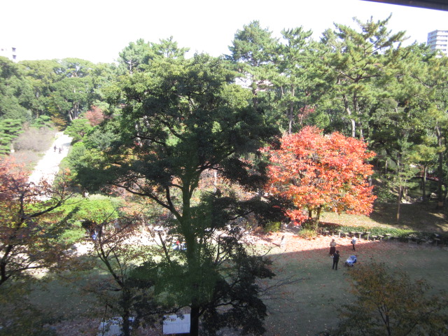 01.jpg