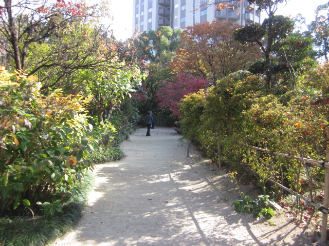 04.jpg