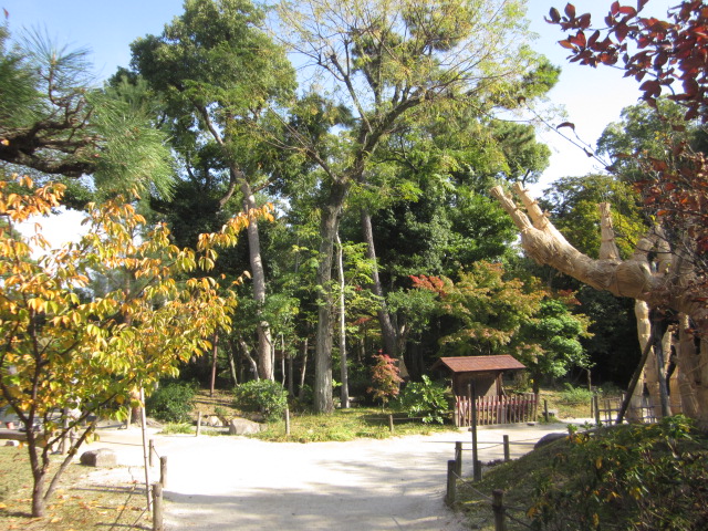 07.jpg