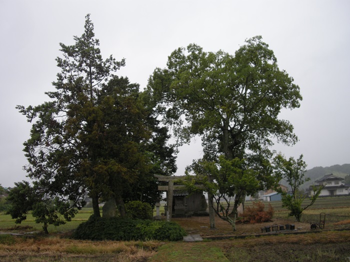 01.jpg
