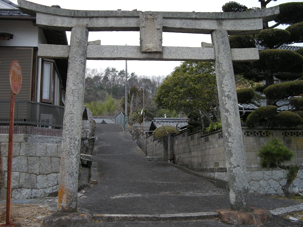 01.jpg
