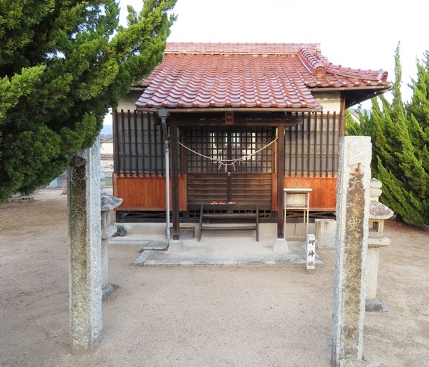 01.jpg
