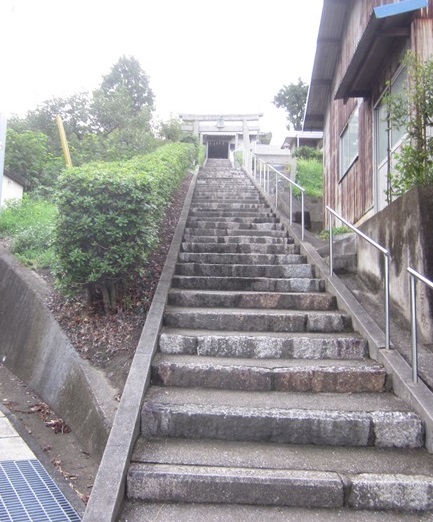 01.jpg