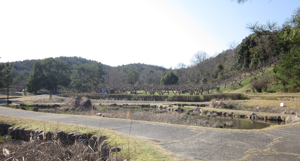 05.jpg