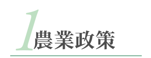 ポリシータイトル1
