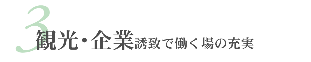ポリシータイトル3