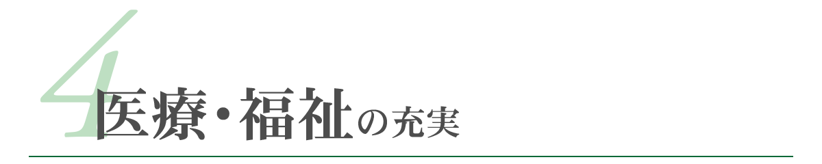 ポリシータイトル4