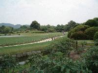 鶴鳴館前から牡丹の葉を眺めつつ岡山城方面を見る。