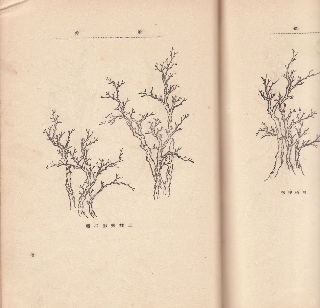 三株交形二種（付録図版）具体的な木の形、種類ごとのサンプルが収録。