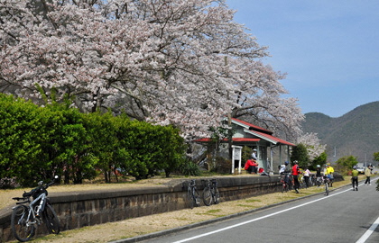 Katatetsu Romance Road